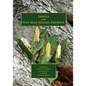 Images of the Five Mile Woods Preserve - Paperback