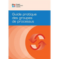 Process Groups: A Practice Guide (French) - Paperback