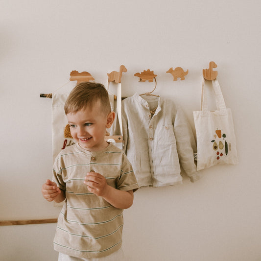 Dinosaurs Wall Hooks