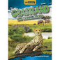 Grassland Life Connections - Paperback