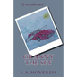 Granny The Spy - Paperback