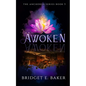 Awoken - Paperback