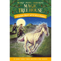 Windy Night with Wild Horses - Paperback