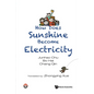 How Does Sunshine Become Electricity - Paperback