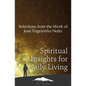 Spiritual Insights for Daily Living: Selections from the Work of José Trigueirinho Netto - Paperback