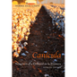 Canícula: Snapshots of a Girlhood En La Frontera, Updated Edition - Paperback