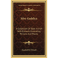 Silva Gadelica: A Collection Of Tales In Irish With Extracts Illustrating Persons And Places - Hardcover