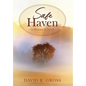 Safe Haven: A Historical Novel - Hardcover