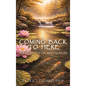 Coming Back to Here: Perspectives on Mindfulness - Hardcover