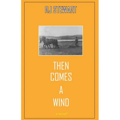 Then Comes a Wind - Paperback