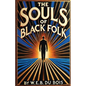 The Souls Of Black Folk(Illustrated) - Paperback