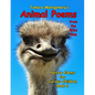 Animal Poems from the Wild Side: Nature Poems for Curious Children Book 6 - Paperback