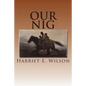 Our Nig - Paperback
