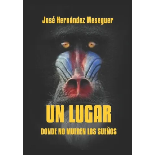 Un Lugar Donde No Mueren Los Sueños - Paperback