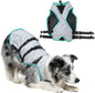Dry-Activate Dog Cooling Vest, Machine Washable – Assorted Colors
