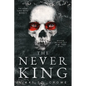 The Never King (Vicious Lost Boys, 1): A Peter Pan Dark Romance - Paperback