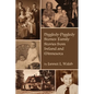 Higgledy-Piggledy Stones: Family Stories from Ireland and Minnesota - Paperback