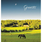 GUEST BOOK for Guest House, Airbnb, Bed & Breakfast, Vacation Home, Retreat Centre: HARDCOVER Visitors Book, Guest Comments Book, Vacation Home Guest - Hardcover