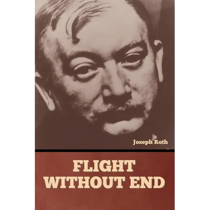 Flight without End - Paperback