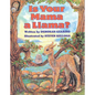 Is Your Mama a Llama? - Board Book