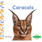 Caracals - Library Binding