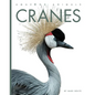 Cranes - Library Binding