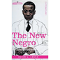 The New Negro: An Interpretation - Hardcover