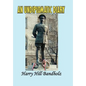 An Undiplomatic Diary - Hardcover