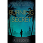 Burning Secret - Paperback