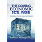 The Coming Economic Ice Age: Five Steps To Survive and Prosper - Paperback