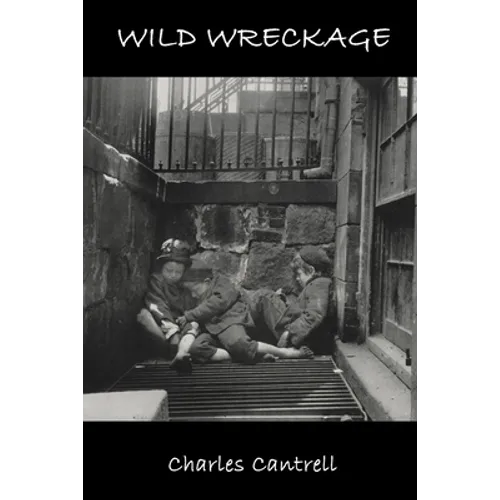 Wild Wreckage - Paperback