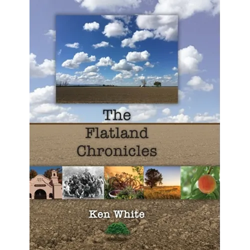 The Flatland Chronicles - Hardcover