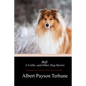 Buff: A Collie, and Other Dog-Stories - Paperback