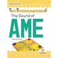 The Sound of AME - Library Binding