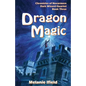Dragon Magic: Fantasy Series - Paperback