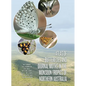Atlas of Butterflies and Diurnal Moths in the Monsoon Tropics of Northern Australia - Paperback