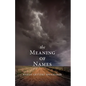 The Meaning of Names - Paperback