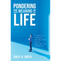 Pondering the Meaning of Life: A Skeptic's Thoughts on Christian Faith, God, and the Afterlife - Paperback