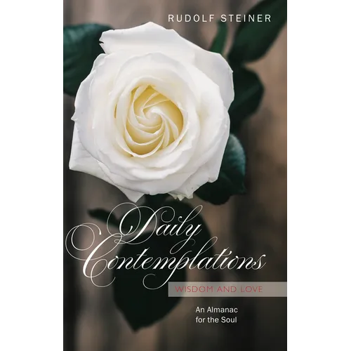 Daily Contemplations: Wisdom and Love: An Almanac for the Soul - Paperback