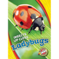 Ladybugs - Library Binding