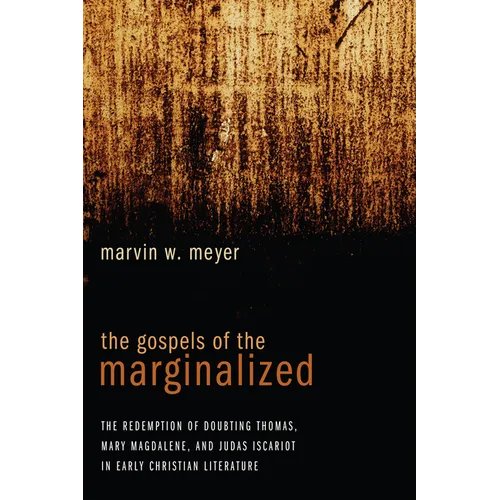 The Gospels of the Marginalized - Paperback