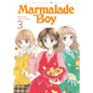 Marmalade Boy: Collector's Edition 3 - Paperback