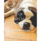 The Adventures of Lars and Willow: The Purfect Escape - Paperback