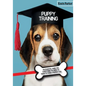 Puppy Training: An Essential Guide for Everything You Need to Know To Train A Perfect Dog. - Paperback