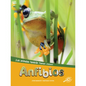 Anfibios: Amphibians - Paperback