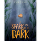 A Spark in the Dark - Hardcover