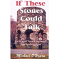If These Stones Could Talk: Relics of New England's Intriguing Past - Paperback