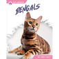 Bengals - Paperback