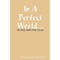 In a Perfect World - Paperback