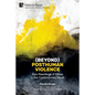 (Beyond) Posthuman Violence: Epic Rewritings of Ethics in the Contemporary Novel - Paperback